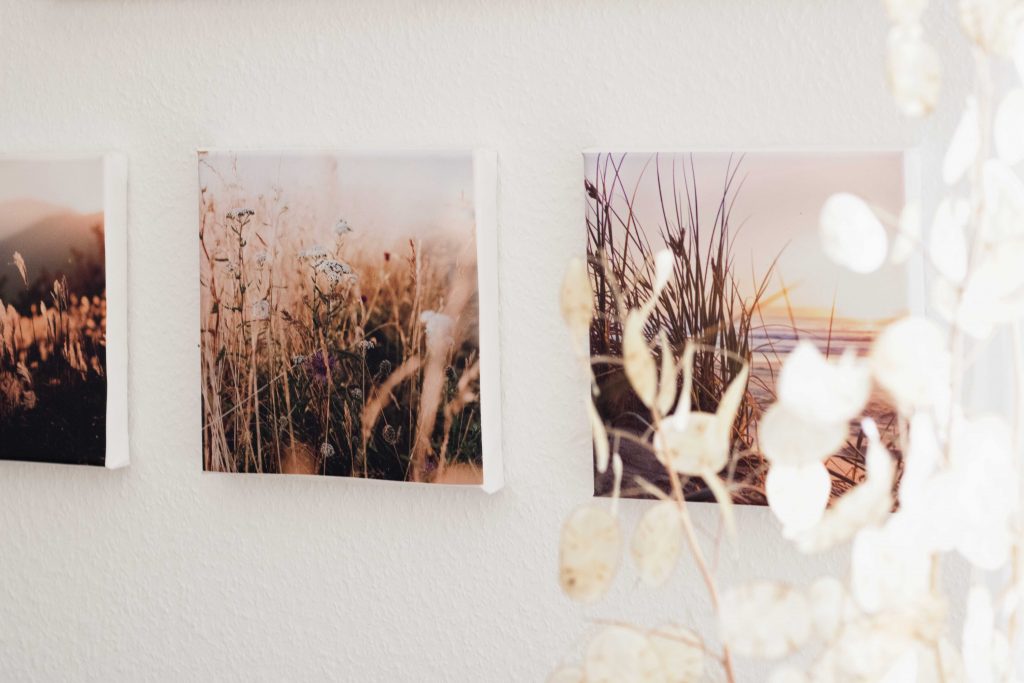 Wohntrend Fotoleinwand Galerie mit Gräsern und Trockenblumen