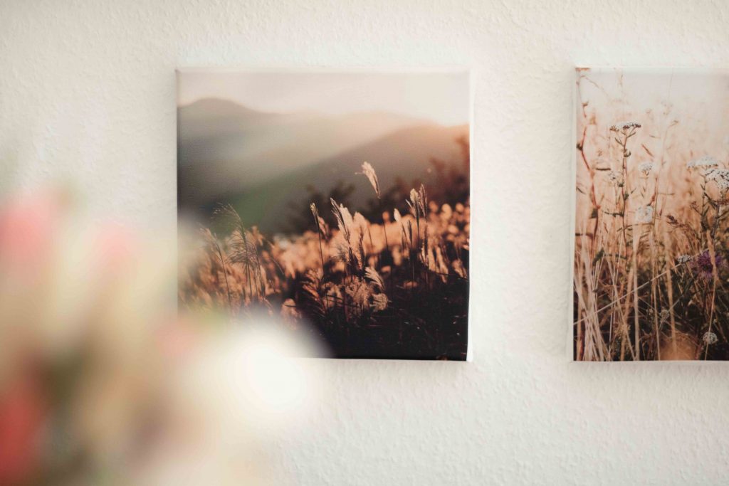Wohntrend Fotoleinwand Galerie mit Gräsern und Trockenblumen