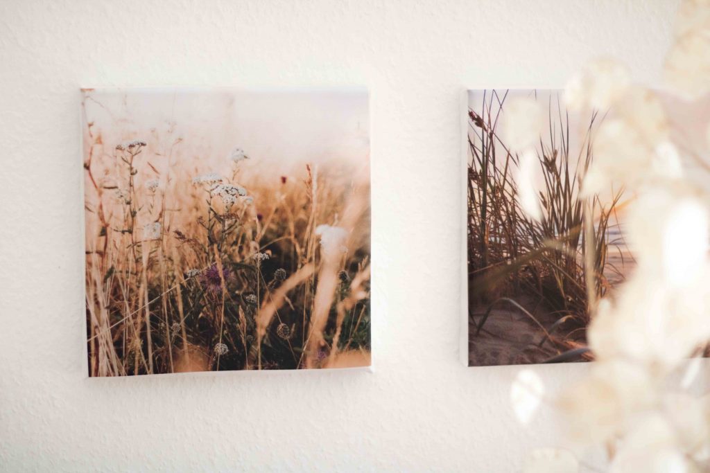 Wohntrend Fotoleinwand Galerie mit Gräsern und Trockenblumen